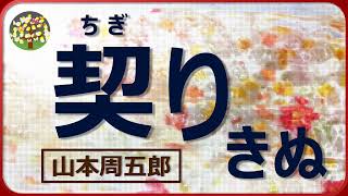 【朗読】山本周五郎 これからが自分の戦い、あの女嫌いを落としてやるわ、でもあの面差しはあの人に似ている・・・ [upl. by Ykcim]