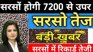 sarson bhav fir se teji ।sarson bhav  sarso ka bhavmustard price todeysarso [upl. by Portie]