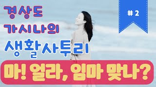 경상도 사투리 마 는 무슨 뜻 점마 금마 맞나 [upl. by Solita]