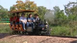 WRC Video 161  Impressive 15 in Gauge Railways [upl. by Constant65]