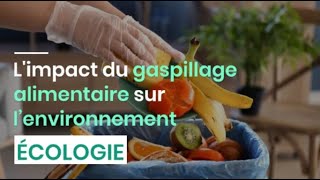 Limpact du gaspillage alimentaire sur l’environnement [upl. by Demetris891]