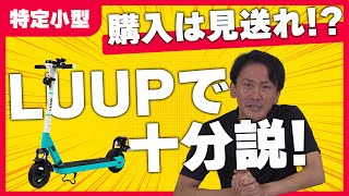 【待った】特定小型原付って本当に必要？実はLUUPで十分説を検証！【電動キックボード】 [upl. by Jaime474]