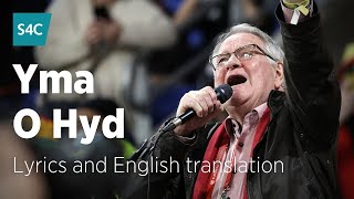 Yma o Hyd  Dafydd Iwan  Dafydd Iwan sings Yma o Hyd with lyrics and English translation  S4C [upl. by Dunseath42]