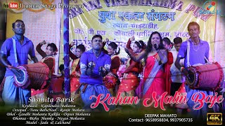 New Jhumar Song 2024  Superhit Jhumar  Sasmita Barik Jhumar Video  Kahan Malin Baje Dhol Dhomsa [upl. by Malony133]