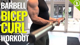 Barbell Bicep Curl Workout GET BIGGER ARMS [upl. by Elaval]