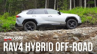 2019 Toyota RAV4 Hybrid XSE Review and OffRoad Test [upl. by Aknahs418]