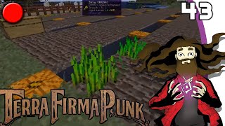 Minecraft TerraFirmaPunk avec Edo et Auré 43 FR [upl. by Beka]