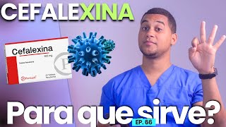 CEFALEXINA PARA QUE SIRVE  3 COSAS  MEDICAMENTOS [upl. by Nessi]