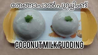 EasyCoconut milk pudding കോക്കനട്ട് മിൽക്ക് പുഡിങ്‌ ടെങ്ങാപാൽ pudding recipe DN WORLD [upl. by Aiset]