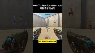 How To Practice Mirror Aim [upl. by Enylhsa]