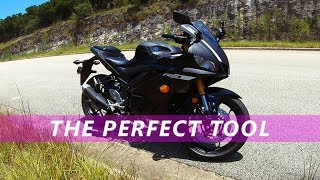 2019 Yamaha R3 Review Comprehensive Breakdown [upl. by Oirtemed]