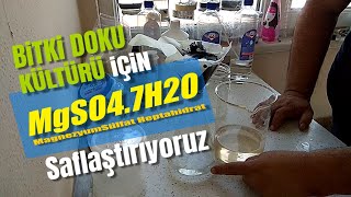 4 Bitki Doku Kültürü için Magnezyum Sülfat MgSO47H2O Saflaştırılması [upl. by Rachelle]