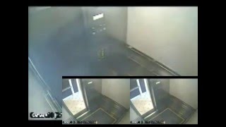 Elisa Lam Elevator Surveillance Video 03  The White Column [upl. by Nwatna]