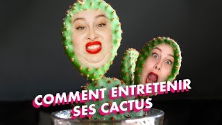 ♡ COMMENT ENTRETENIR SES CACTUS ♡ [upl. by Dita]