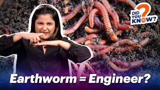 Why Earthworms Are Important  ISH News [upl. by Aihseyk295]