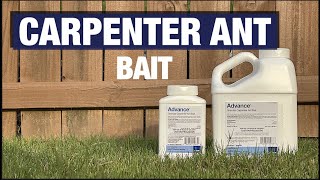 Advance Carpenter Ant Bait [upl. by Rehpitsirhc]