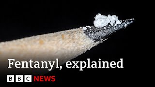 Fentanyl Why are so many Americans dying from synthetic opioids  BBC News [upl. by Aniuqal]