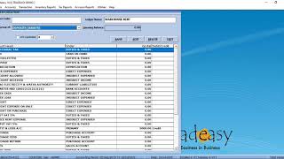 LEDGER OR ACCOUNT CREATION IN TRADEASY ACCOUNTING SOFTWARE [upl. by Nolyk]