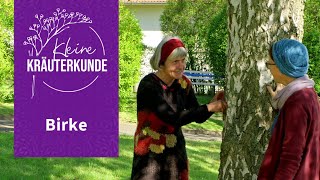 Kleine Kräuterkunde Birke  Ruth Pfennighaus [upl. by Ahsienak]