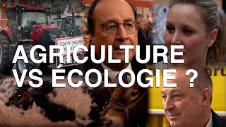 LAGRICULTURE pourquoi incompatible avec lécologie [upl. by Ycak]