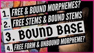 Free Morpheme  Bound Morpheme  Stems  Bound Stems  Free Stems  Bound Base  Morphology [upl. by Cohette]