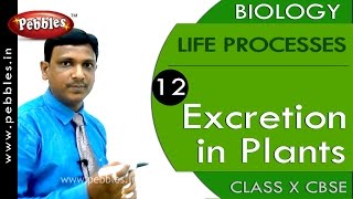 Excretion in Plants  Life Processes  Biology  CBSE Class 10 Science [upl. by Harve]