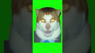 Monday Left Me Broken Cat  Green Screen [upl. by Aelyak741]