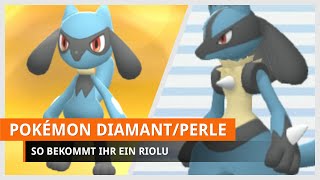 Pokémon Strahlender Diamant amp Leuchtende Perle Riolu bekommen [upl. by Scoles]