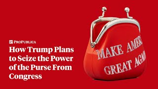 How Donald Trump Plans to Take Spending Control From Congress [upl. by Anuahsar]