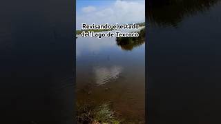 Revisando el estado del Lago de Texcoco naturaleza [upl. by Ecinaej]