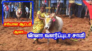 ன்னா வளர்ப்புடா சாமி 100 வேற லெவல் காளை Tamizhan Trending [upl. by Briana]