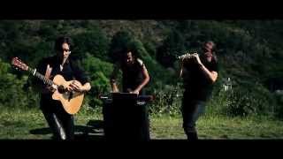 PLANTEC  CELTIC MUSIC  Speedwell OFFICIAL VIDEO [upl. by Ennaear]