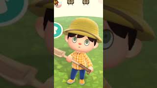 Animal Crossing New and Old 32 nintendo animalcrossing animalcrossingnewhorizons [upl. by Leinadnhoj326]