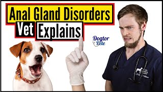 THIS Is Why Your Dog Has Anal Gland Disease And Here Is How You Can Treat It  Vet Explains [upl. by Vtarj]