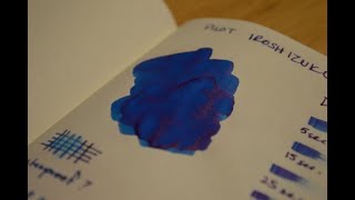 Ink Overview Pt 1  Pilot iroshizuku konpeki fuyugaki tsukiyo [upl. by Cristine]