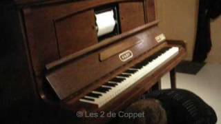 quotPianoAccordeonJazzquot Gaby de la Maison René Seybold [upl. by Channing]