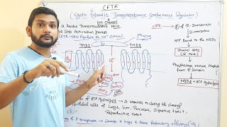 CFTRCystic Fibrsis Transmembrane Conductance RegulatorCSIR NETin Hindi [upl. by Enneiviv]