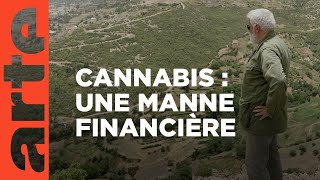 Maroc  les nouveaux rois du Rif  ARTE Reportage [upl. by Adihaj]