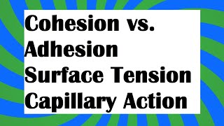 Cohesion vs adhesion [upl. by Nosreme]