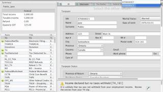 How to Switch Between Linked Returns using Canadian Tax Software TaxTron [upl. by Nylisoj]