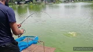 Chalong fishing park 2024 Fishing in Phuket [upl. by Salba561]