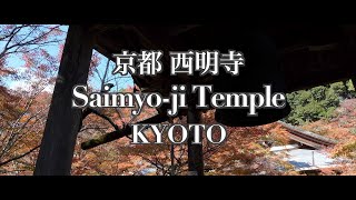 【京都】西明寺Autumn leaves in Kyoto Saimyoji Temple 2024 [upl. by Lejna]