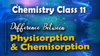 Difference Between Physisorption and Chemisorption  Surface Chemistry  Chemistry Class 11 [upl. by Esahc]