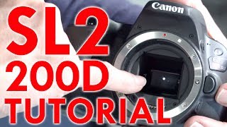 Canon EOS Rebel SL2200D Tutorial [upl. by Fabron883]