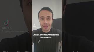 Claudia Sheinbaum respalda a Zoé Robledo [upl. by Mikah376]