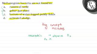 Methanogenic bacteria are not found in \ \mathrmP \ a rumen o [upl. by Endora]