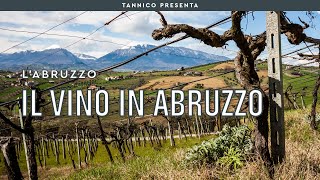 Montepulciano Trebbiano e il successo internazionale il vino in Abruzzo  Tannico [upl. by Nnayecats]