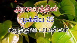 அரசமரத்தின் முக்கிய 25 மருத்துவ பயன்கள் [upl. by Novahc]