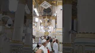 Rawla serif 🤲🤲🤲madinah madinamadina islamicholycities mecca [upl. by Abernon]