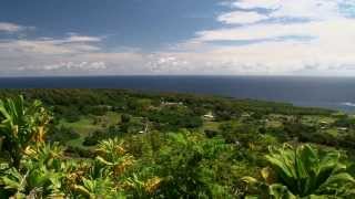 Road to Hana  Shore Excursion  NCL [upl. by Arhat]